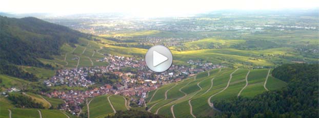 landschaft mit Play